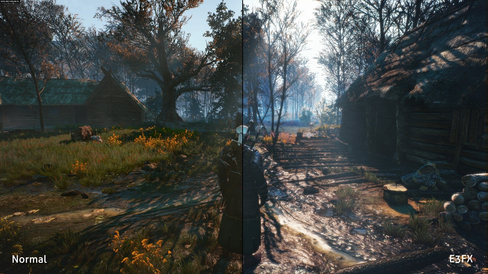 E3 reshade the witcher 3 фото 51