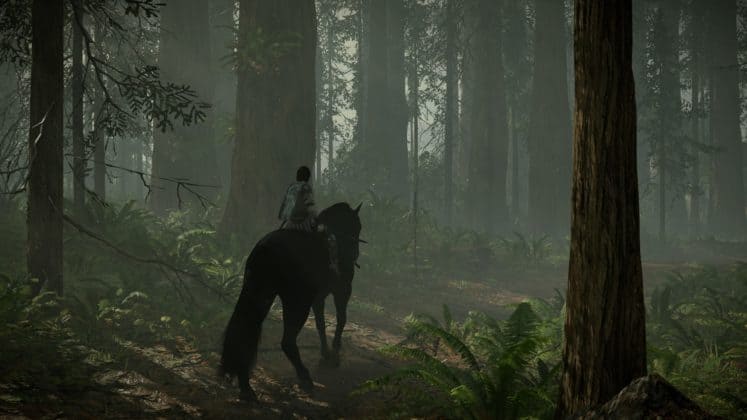 shadow of the colossus ps2 frame rate shadow of the colossus ps2 frame rate